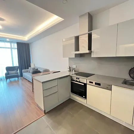 Polat Tower Lux / Nerar To Mall Of 公寓 伊斯坦布尔